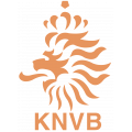 Футбольная форма сборной Голландии в Ижевске